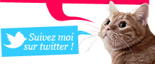 Suivez-moi sur twitter